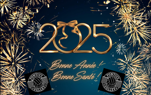 Bonne année 2025